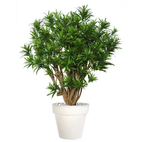 Planta semi-artificiala Ila, Dracaena Reflexa Robusta Green - 180 cm